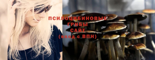гидропоника Богородицк