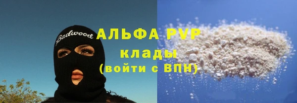 шишки Богданович