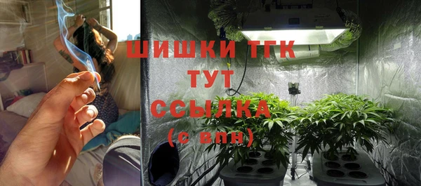 шишки Богданович
