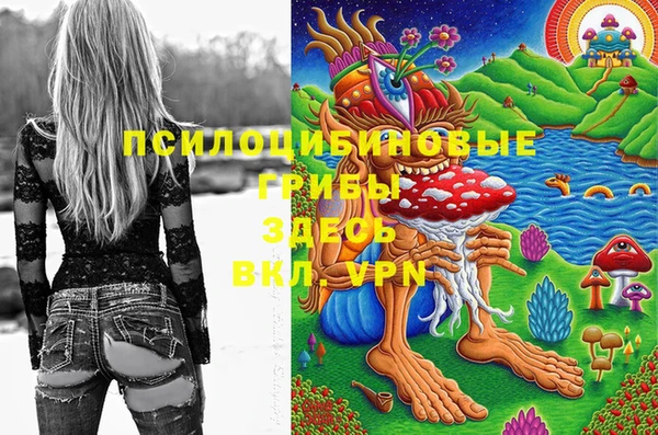 шишки Богданович