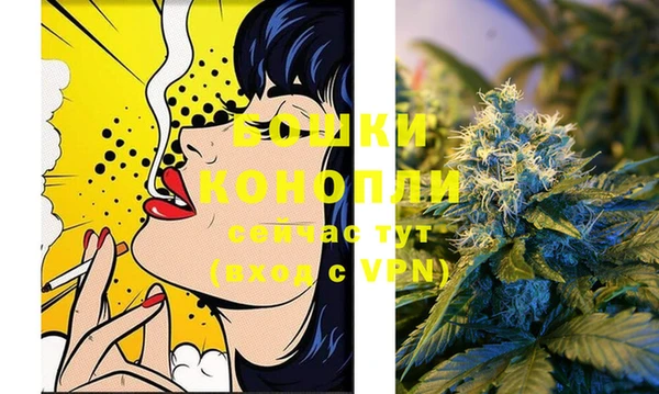 шишки Богданович